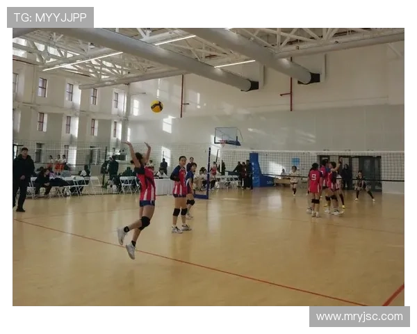 杭州排球队在全国排球配合排行榜中荣获第4名展现强劲实力与团队默契